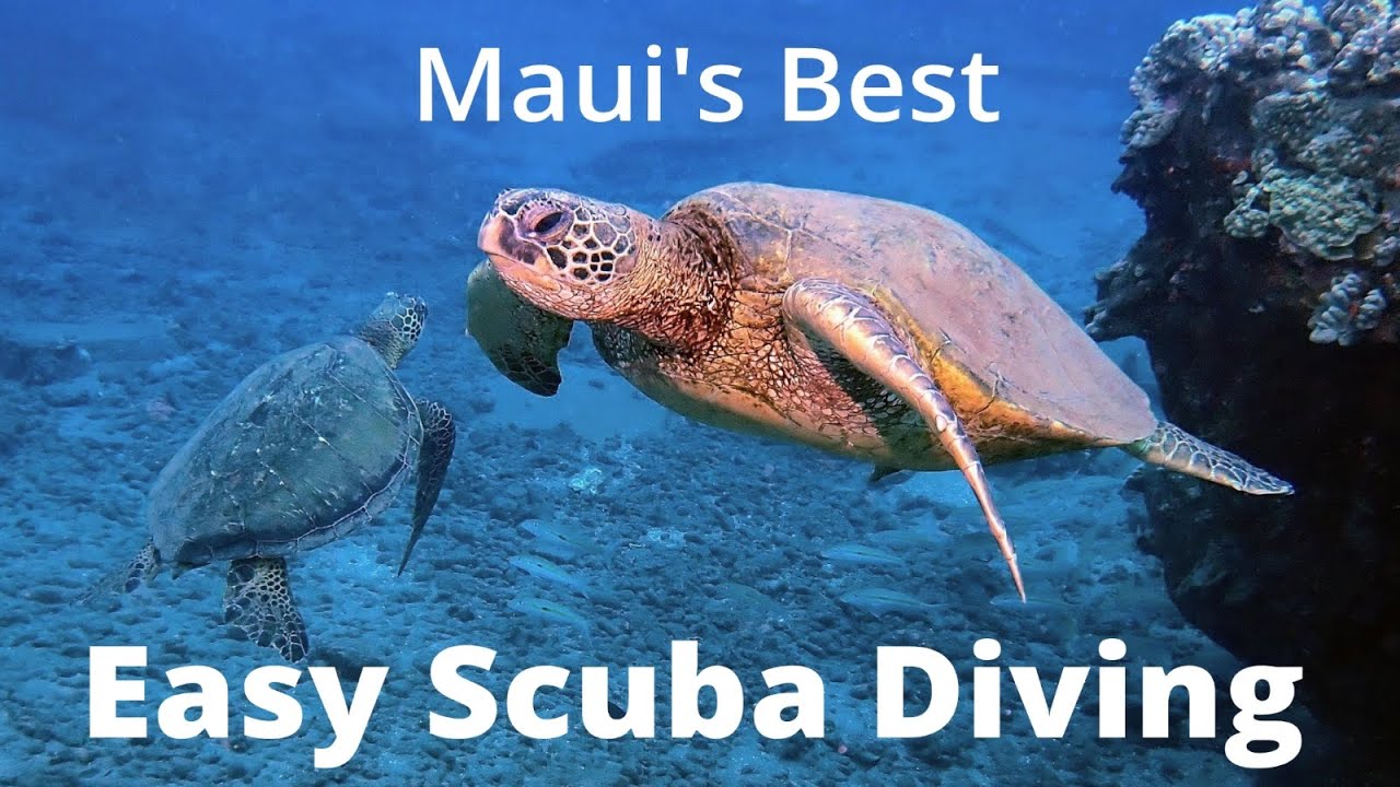 Maui's Best Easy Scuba Diving