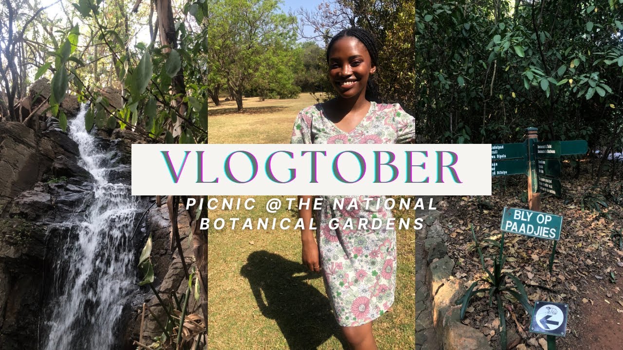 Vlogtober: Birthday celebration, picnic at the Pretoria National Botanical Gardens. #vlogtober
