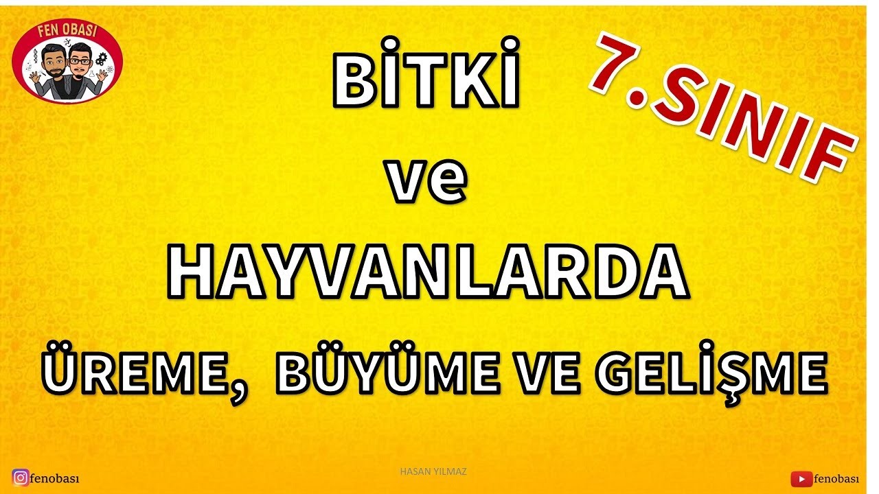 7.SINIF/BİTKİ ve HAYVANLARDA ÜREME BÜYÜME GELİŞME