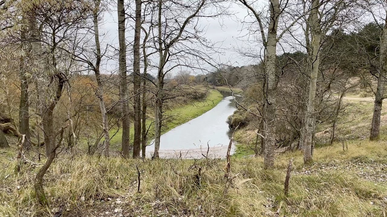 Waterleidingduinen ingang Panneland - Vogelenzang