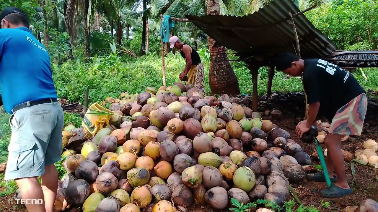 Tatlo kaming mag babalat, matapos kaya ito sa Isang araw?