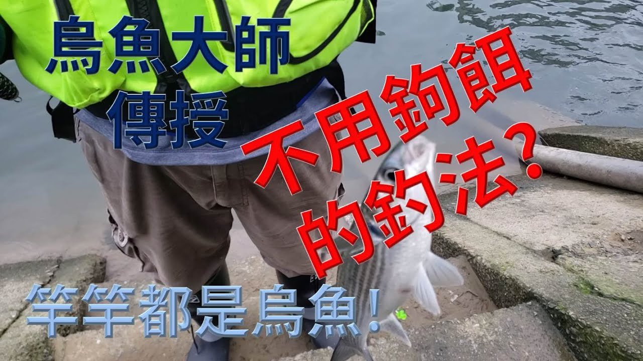 烏魚大師傳授必殺釣組_不用鉤餌就可以釣烏魚The master teaches the deadly rig _ you can fish mullet without hooking bait