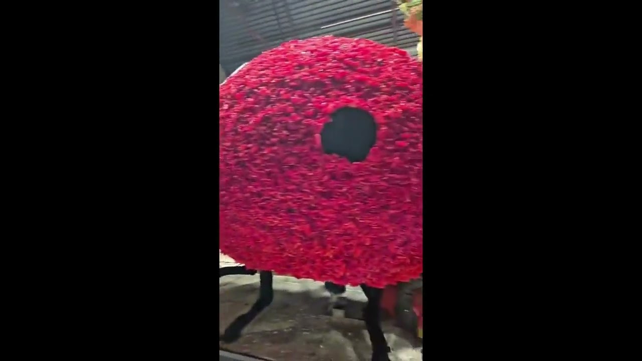 Bloemencorso Bollenstreek - Stekers dagen donderdag 2024