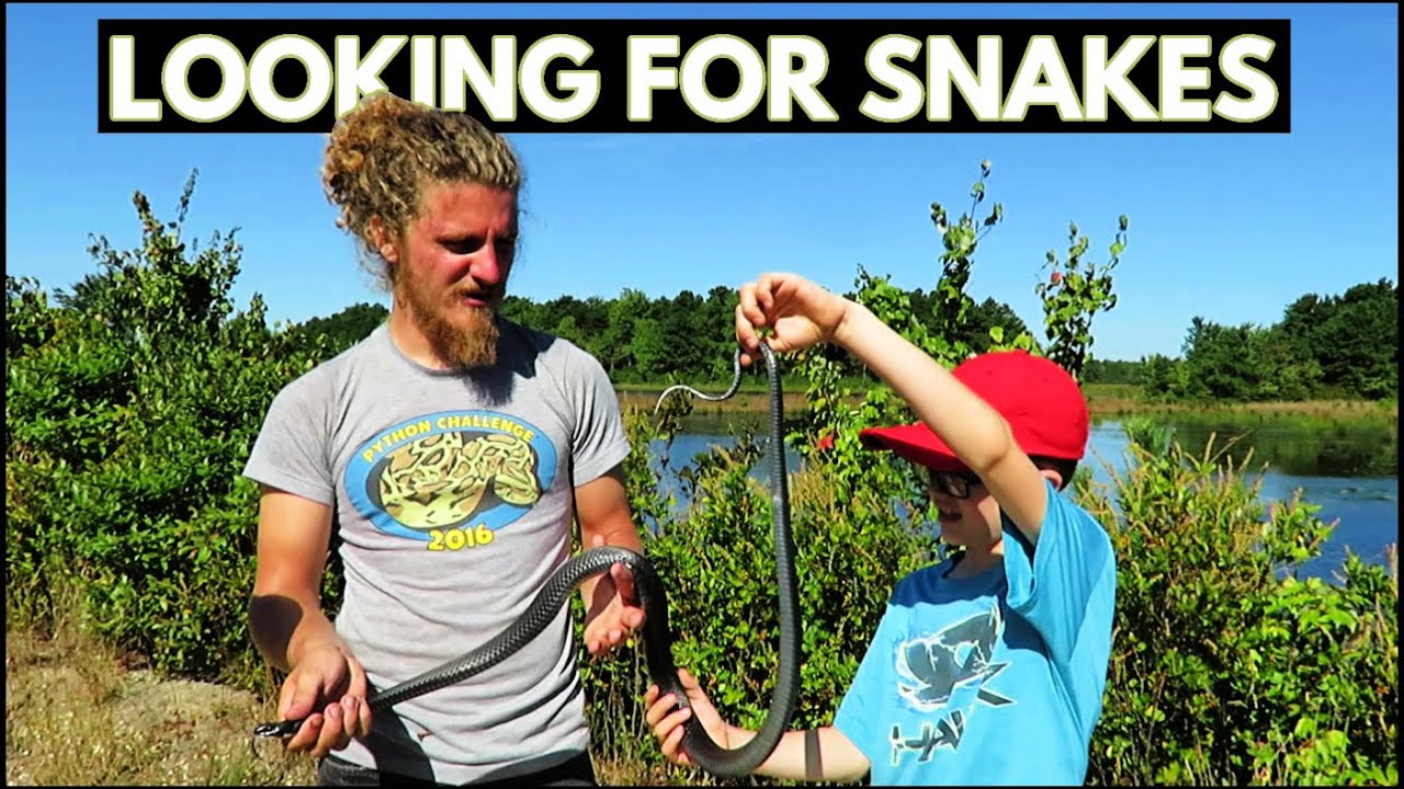 NJ Pinelands National Reserve - Snakes! (Vlog)