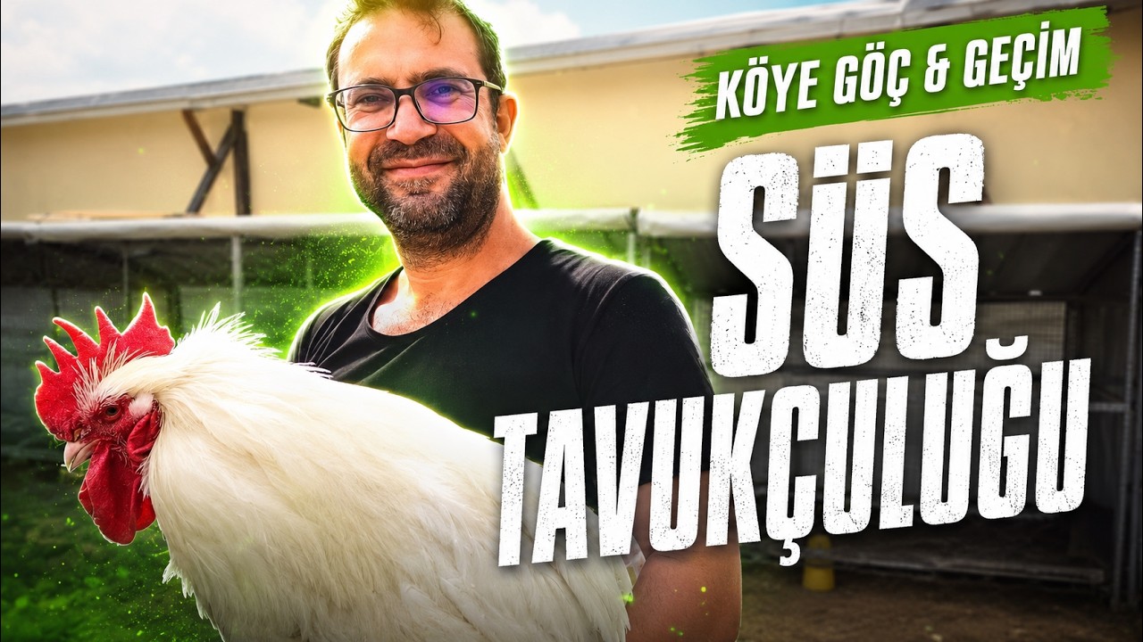 KÖYE GÖÇ EDİP SÜS TAVUKÇULUĞU YAPILIR MI? KAÇ PARA GETİRİR? RİSKLERİ NELER?