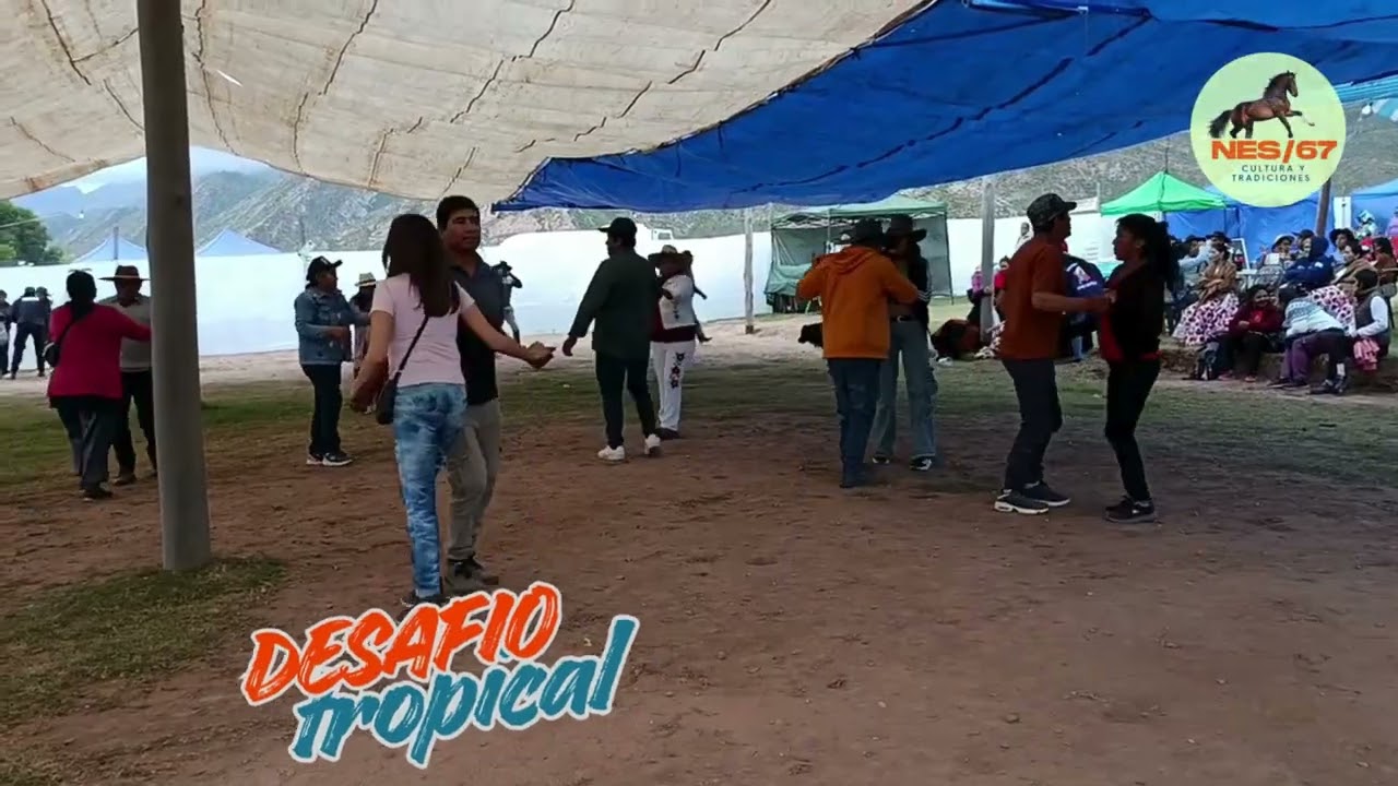 DESAFIO TROPICAL CARPA LA MIMOSA -isonza 2026