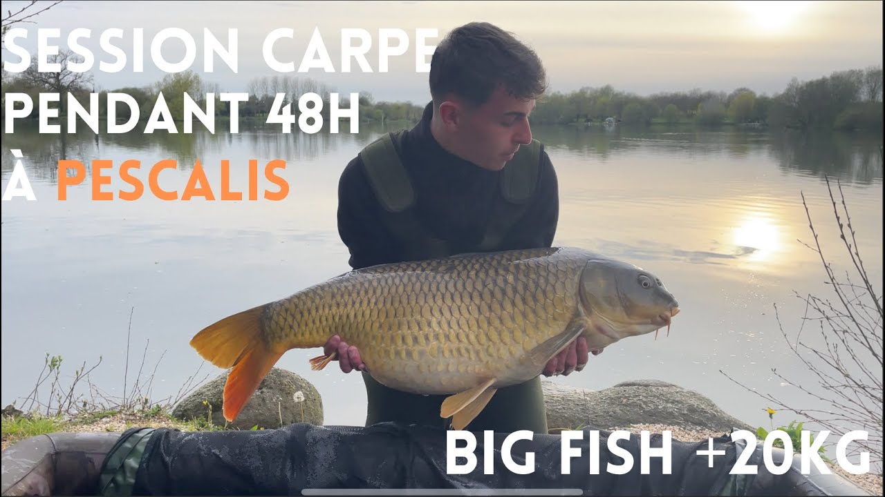 Session au domaine de Pescalis pendant 48H (Big Fish !!! +20kg)