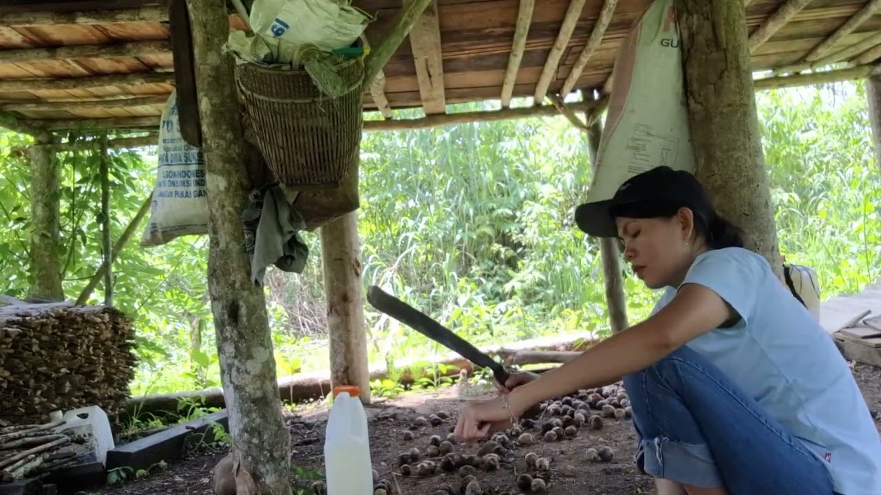 Hari pertama dikebun #video #kebunkopi 