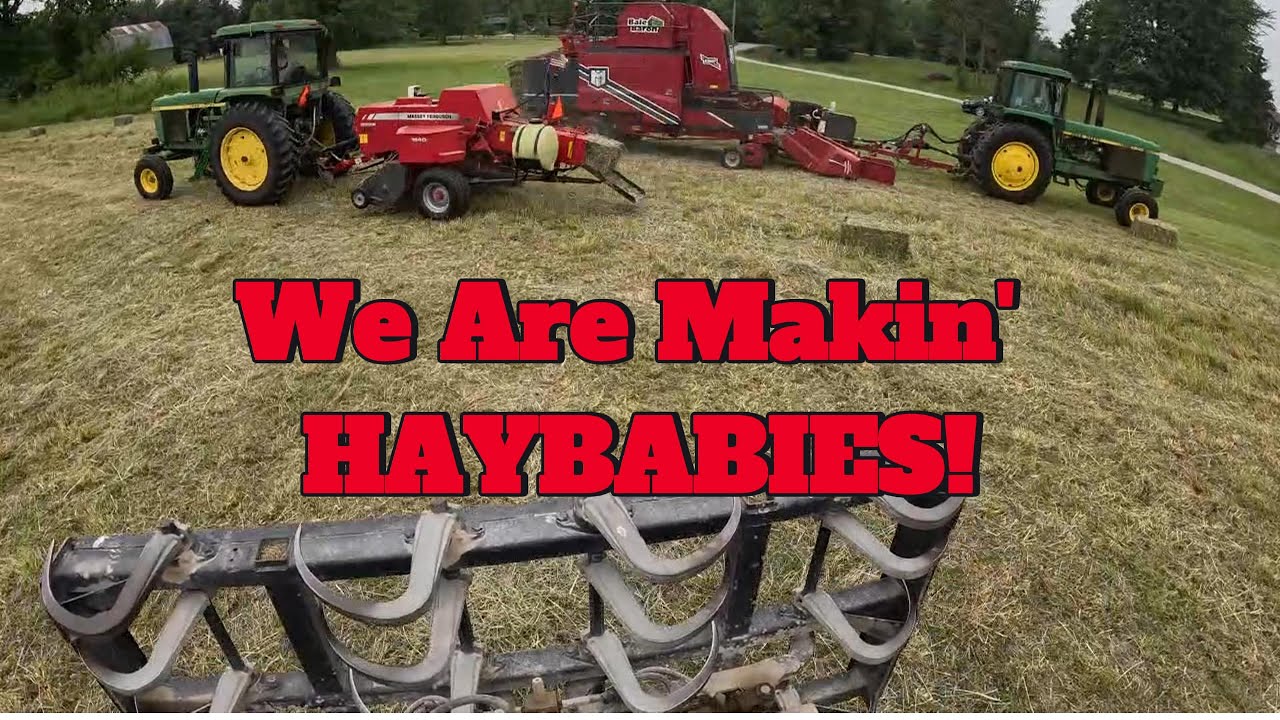 Makin' HAYBABIES!