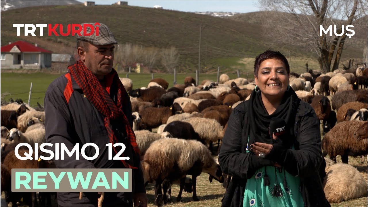 Reywan - Qısımo 12.(Muş/Varto)