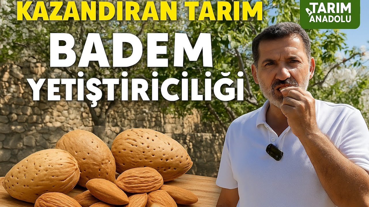 Badem Bahçesi Kurmak İsteyenler İçn Altın Tavsiyeler