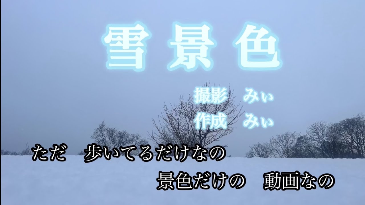 森の冬景色。お散歩してきました。 #冬 #雪 #森林浴 #winter #snow #forest  #japan 