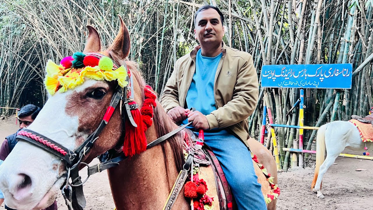 Rana Resort Lahore Safari Park || safari park || Visiting Point in Lahore ||