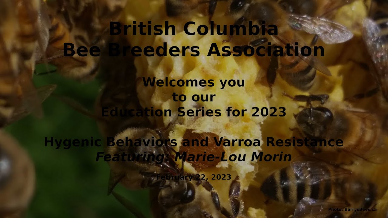 Hygienic Behavior and Varroa Resistance