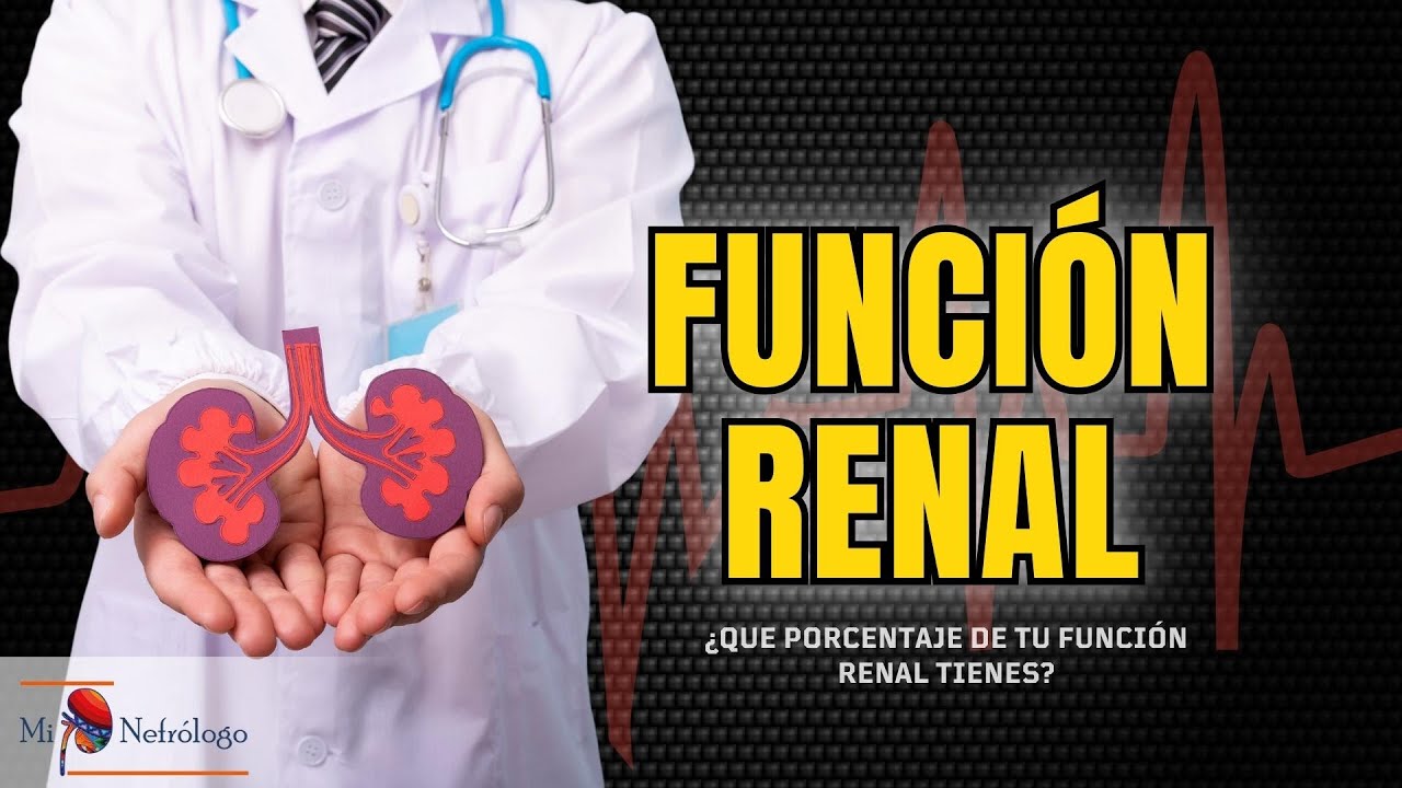 Etapas de la enfermedad renal