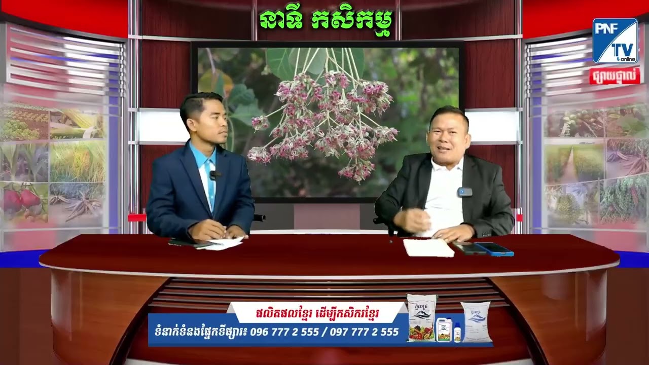 ប្រធានបទ ការថែទាំចន្ទី| យន់ សុផា