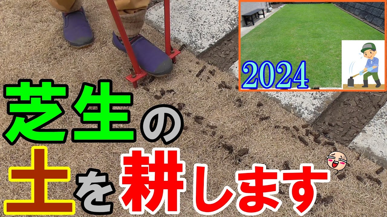 【芝生の更新作業】効果絶大！コアリングで芝生の床土を耕します！このひと手間で大きな違い！？ オッサンの肉体労働に感動！😊[2024#03]