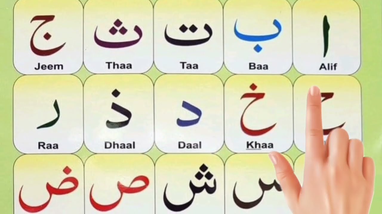 alif baa taa saa 🙋 Qaidah Noorani little | Learn how to read Quran | alif baa taa song 
