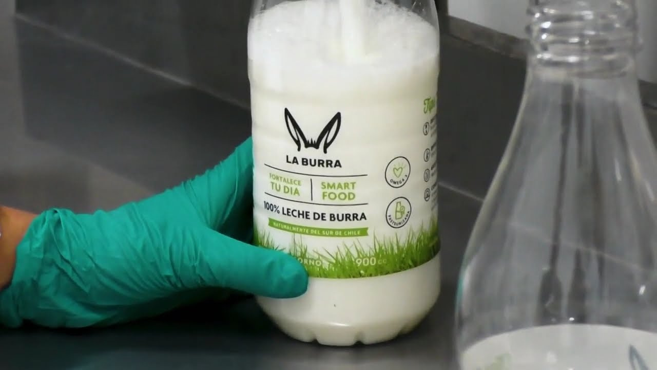 Conocimos la línea productiva de la leche de burra. Crónicas de la Patagonia, 2021.