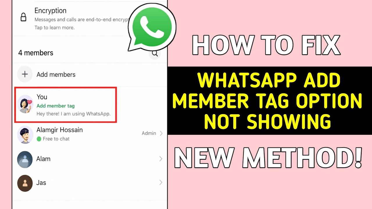 WhatsApp Group Add Member Tag Not Showing? Fix It Fast (2026 Update)