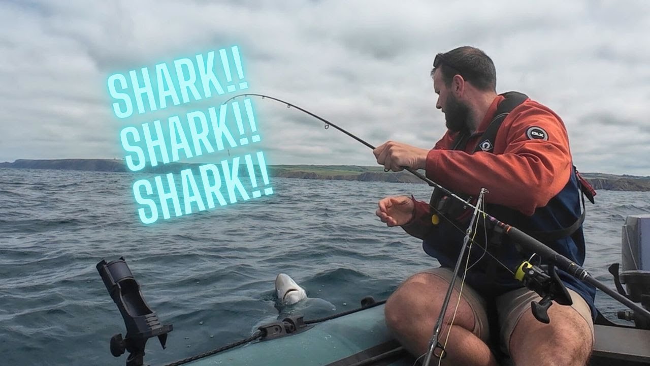 Скумбрия, сайда, акула 🦈 | Морская рыбалка в Корнуолле | Морская рыбалка в Великобритании |