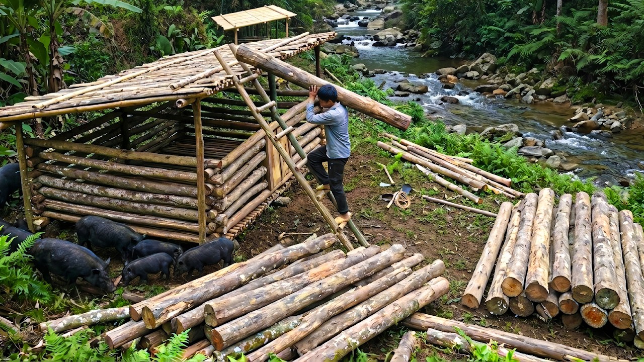 Building a Larger Wooden Pig Pen With Only a Knife - Forest Survival Skills
