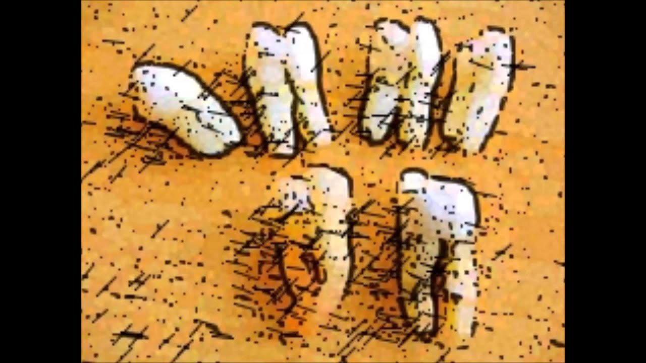 Dentysta 