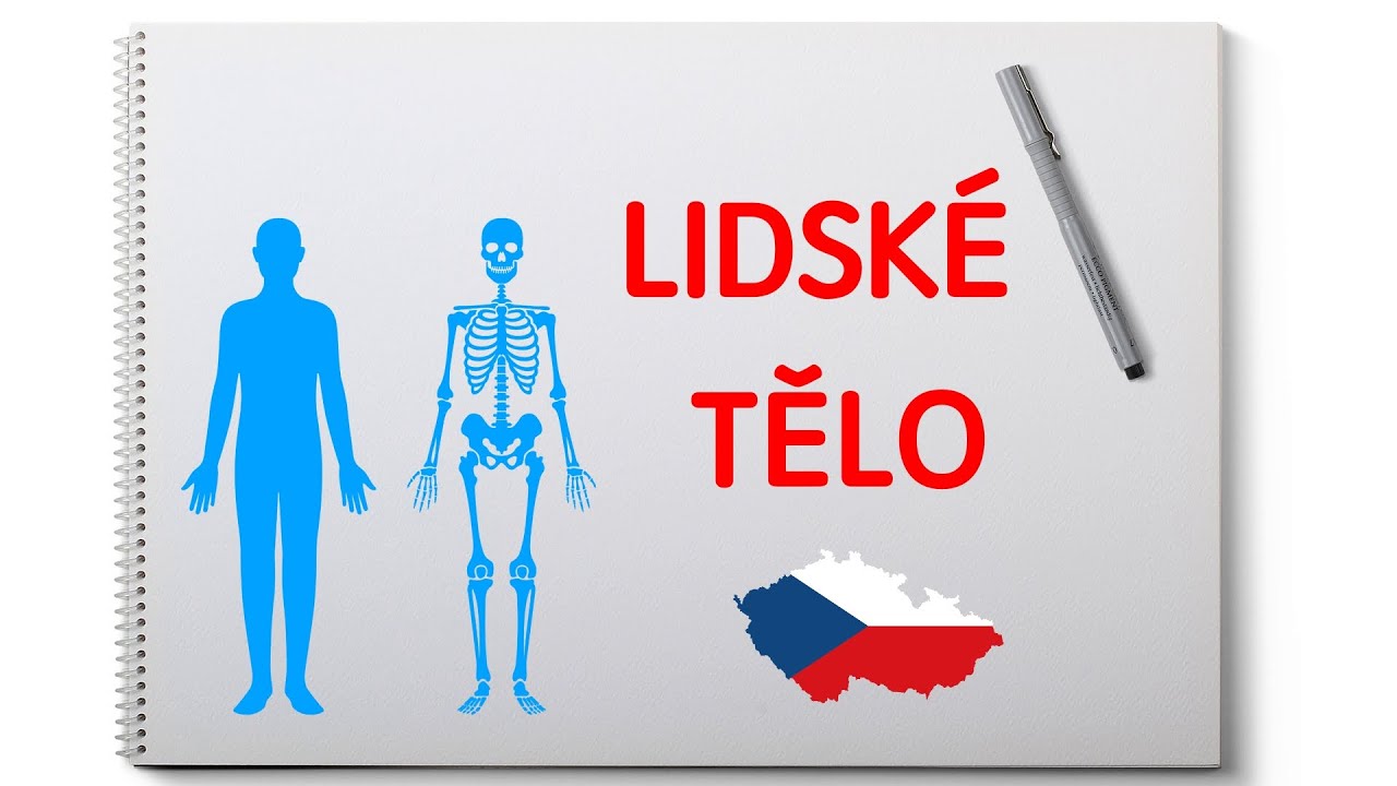 Lidské tělo. Тело человека. Čeština pro cizince. Чешский язык