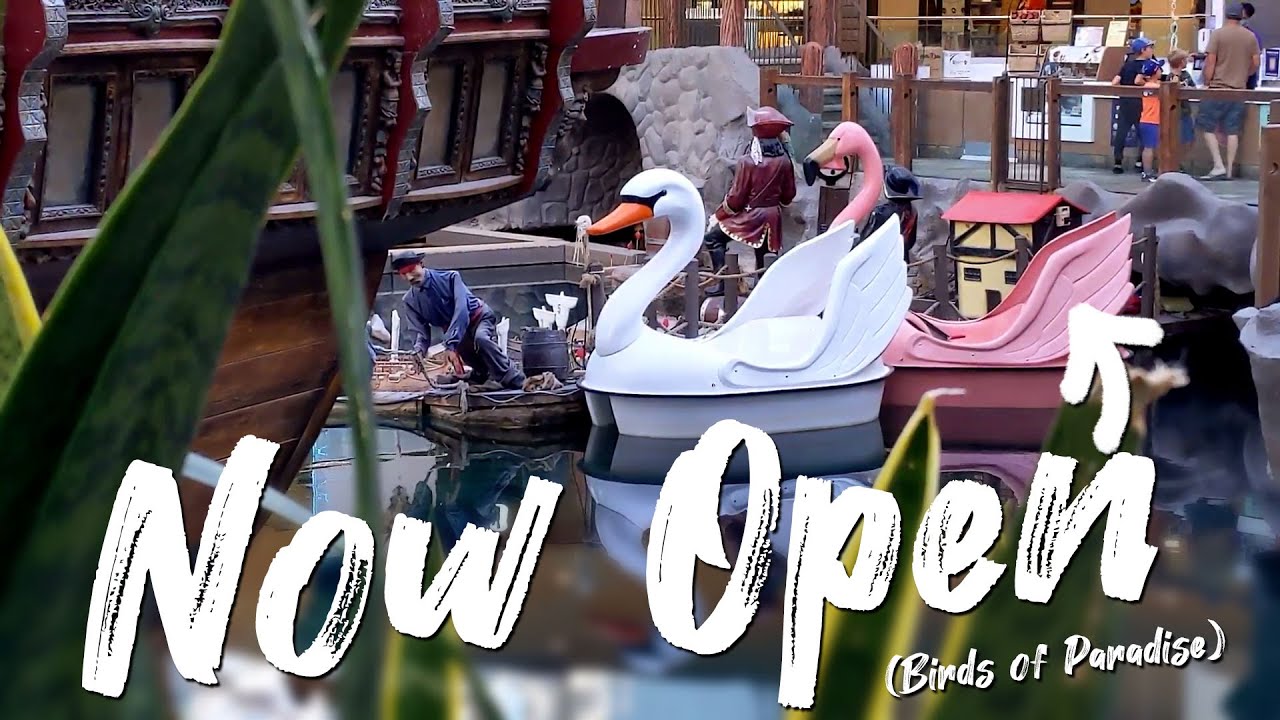Swan Boats Now Open at WEM (Birds of Paradise) - Best Edmonton Mall