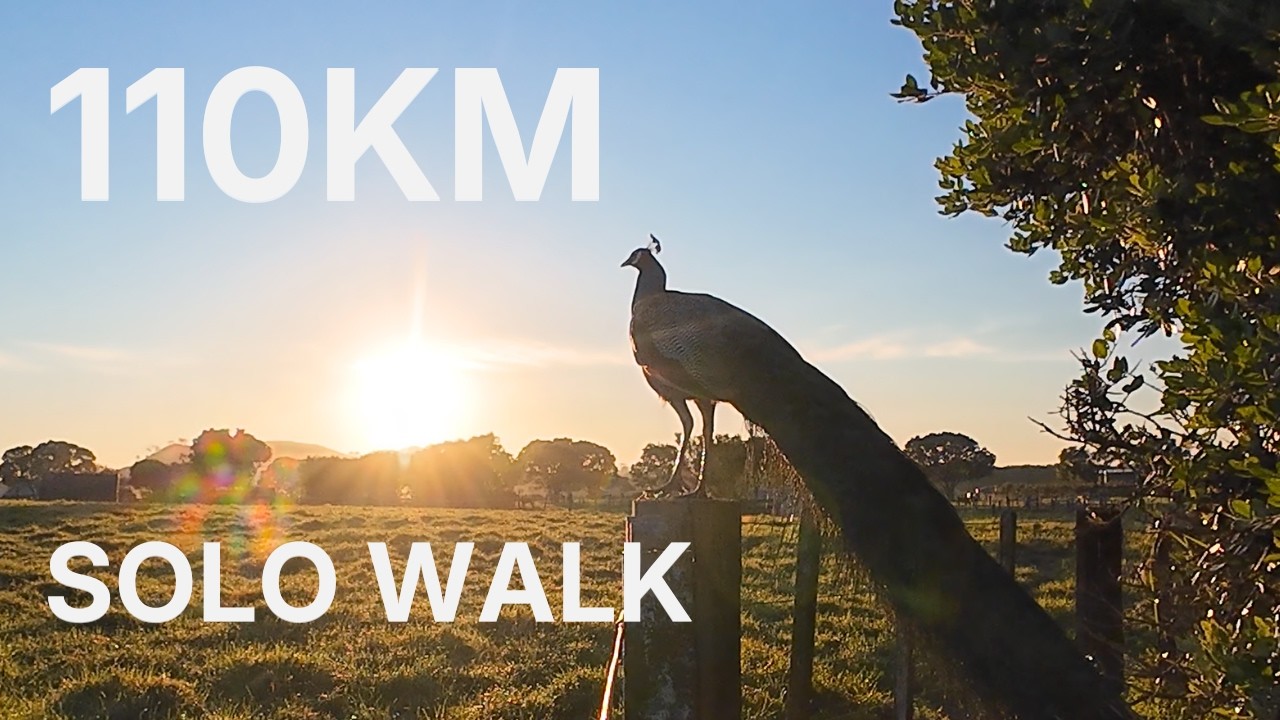 Walking 110km Through Rural New Zealand | Te Araroa Trail