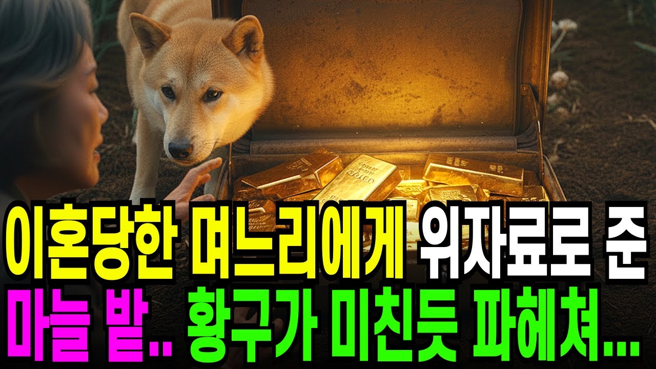 이혼 당한 며느리에게 위자료로 준 마늘밭,  진돗개 황구가 미친듯이 파헤치는데....오디오북 ㅣ 사연라디오 ㅣ 노후사연 ㅣ 반전사연