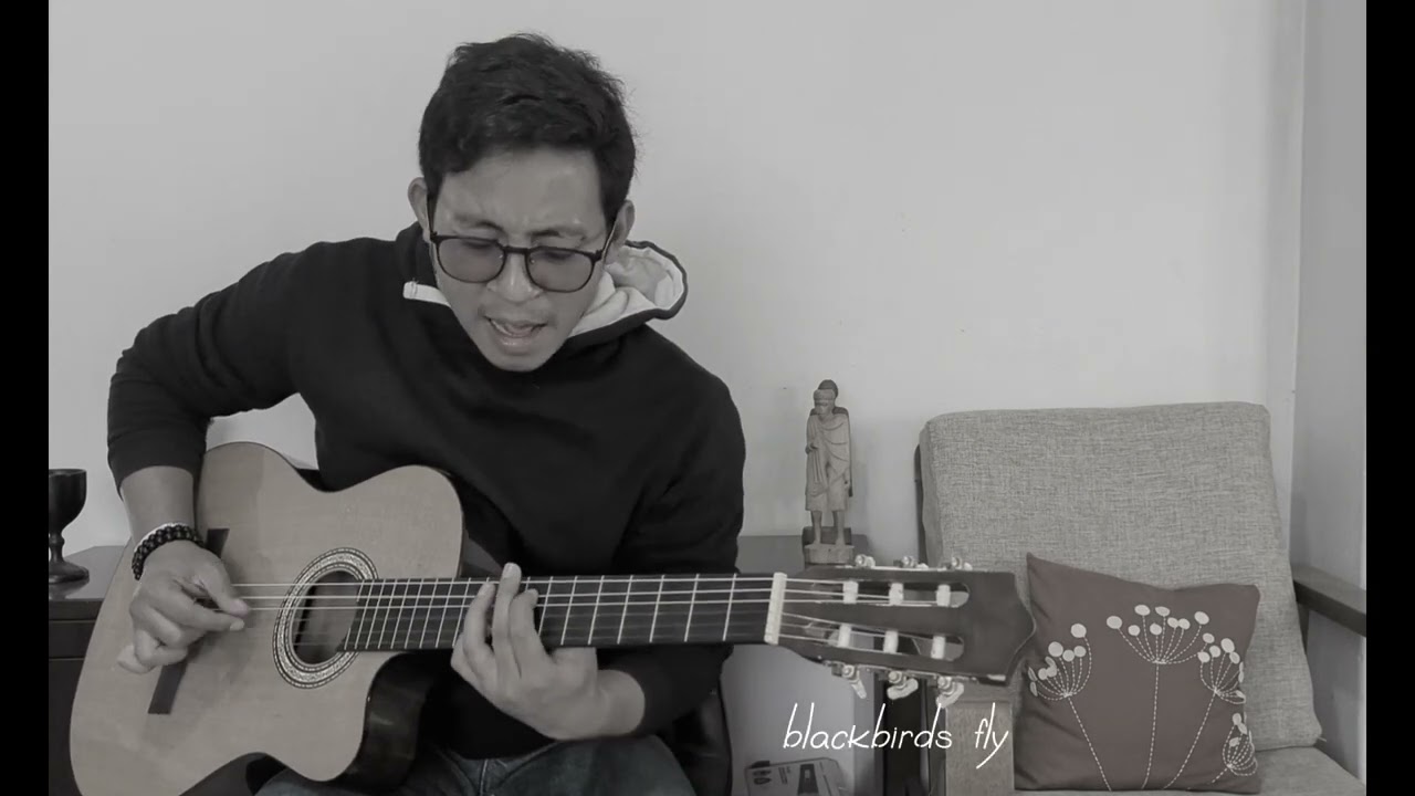 Black Bird - The Beatles (Mazava Cover)