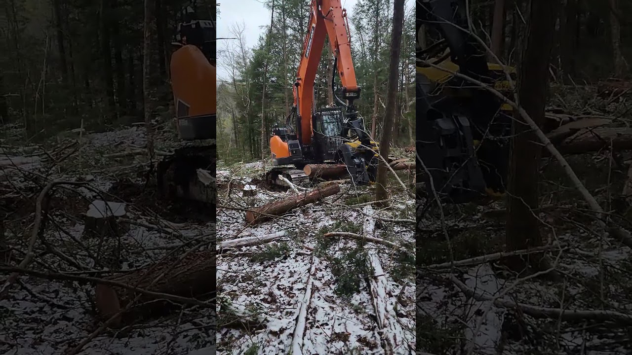 High-Precision Forestry: Develon 235 & Ponsse H8HD in Action