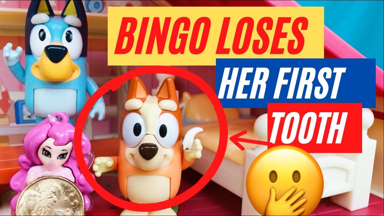 BLUEY | BINGO LOSES her first TOOTH | Pretend Play with Bluey Toys | Disney Junior | ABC Kids