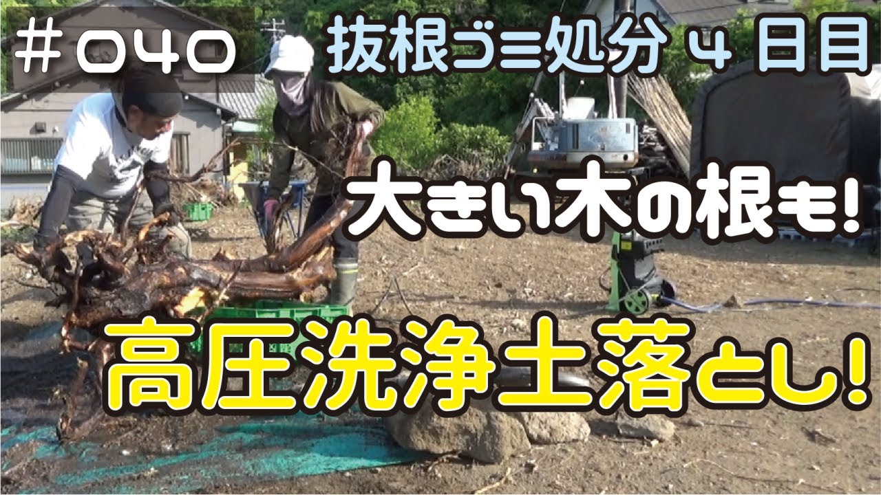 ≪週末DIYから始める移住への道≫ ＃040　根っこ処分4日目　太い木の根も高圧洗浄する！≪アラフィフ開拓≫
