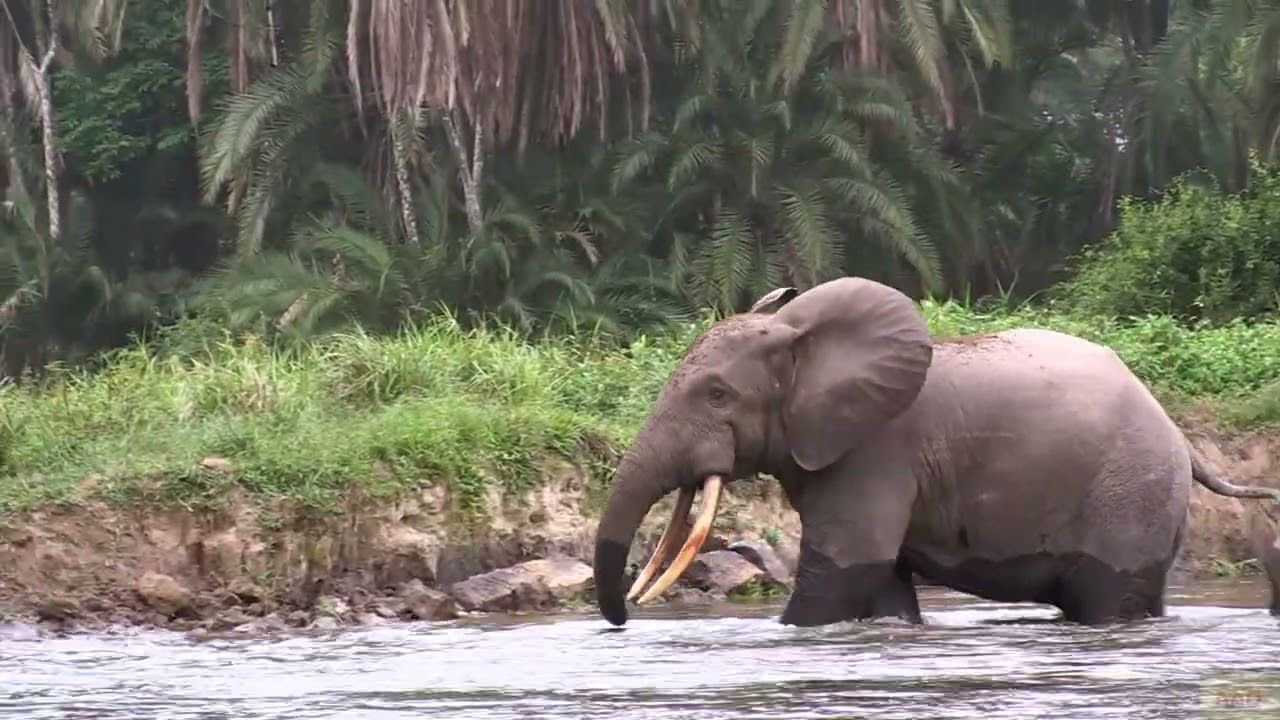 Journey Through the DRC Facts Geology and Natural Wonders