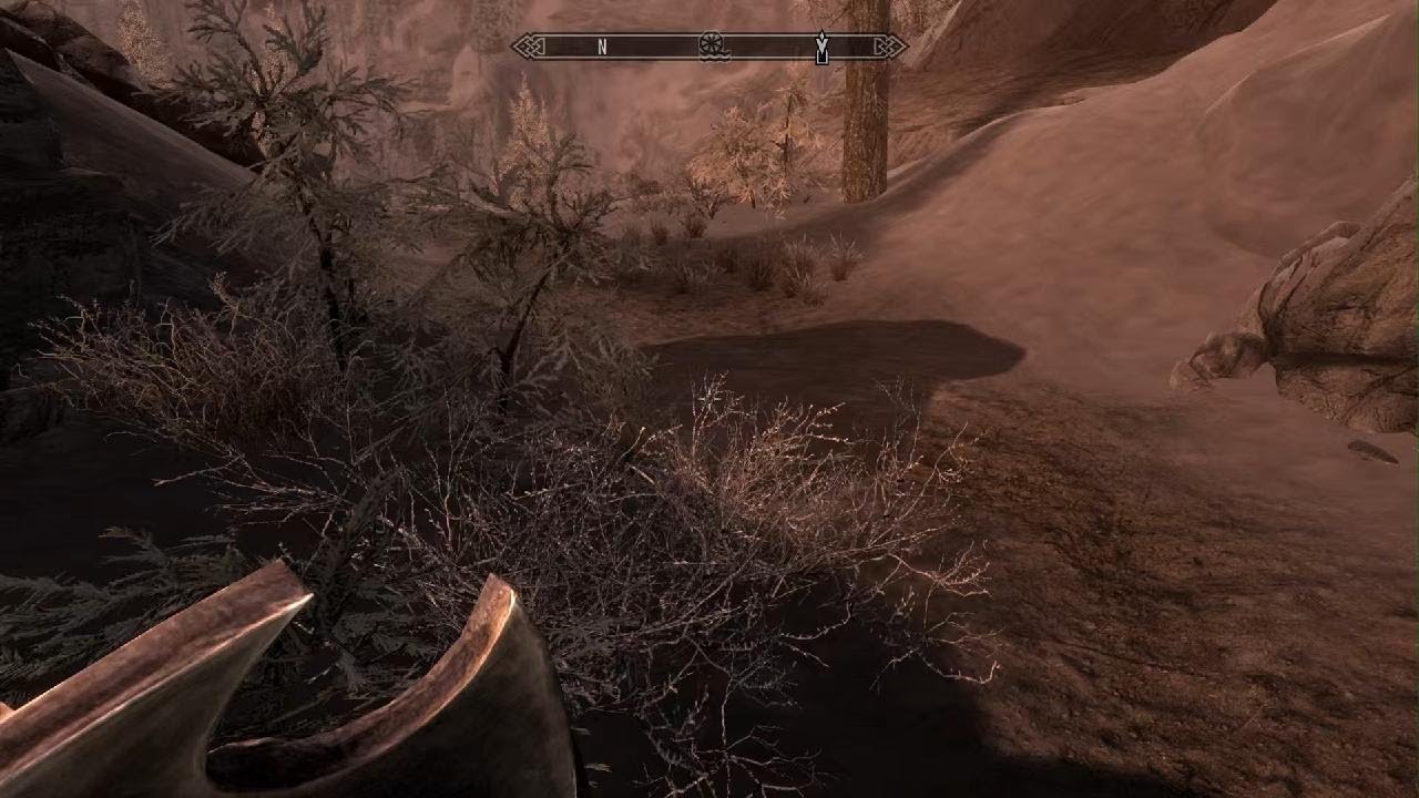Skyrim_20260110211557