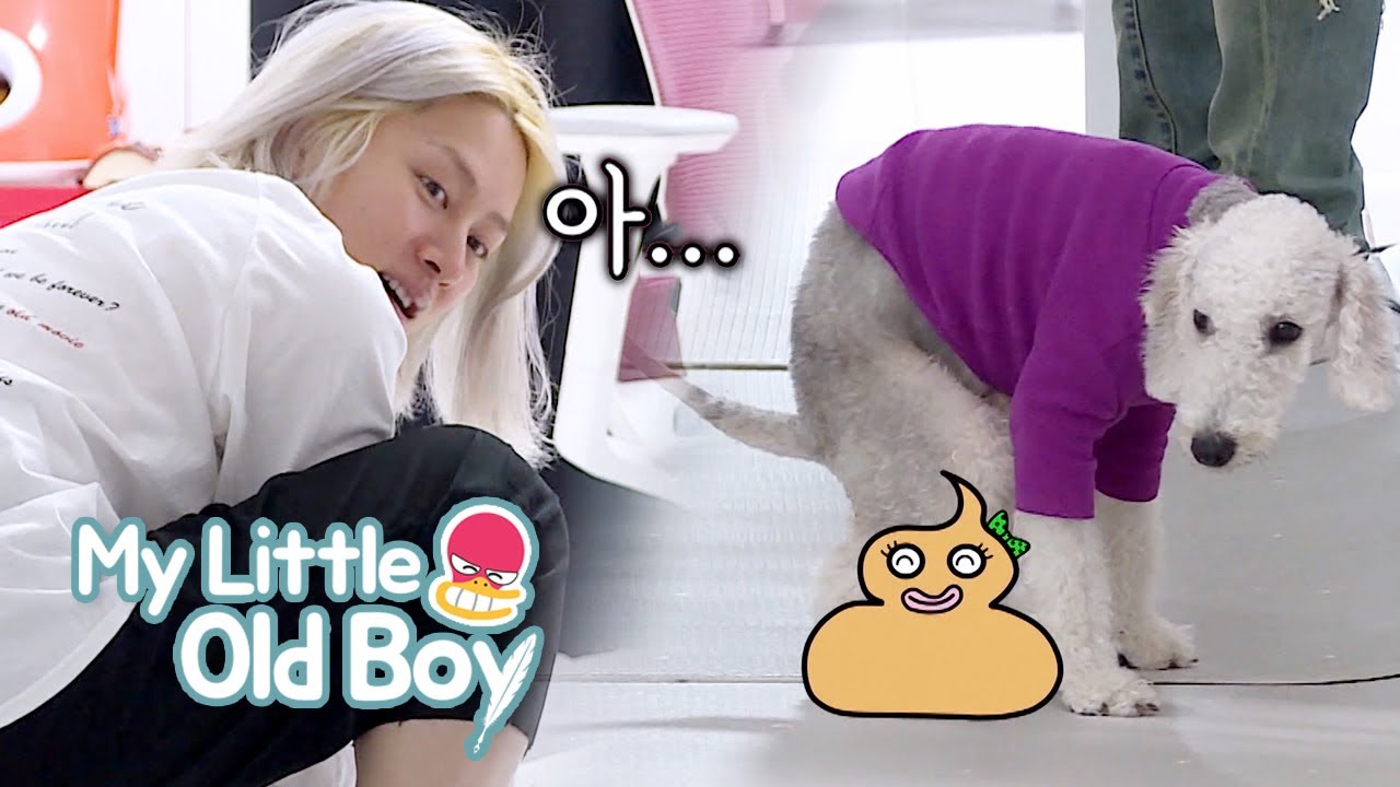 Hee Chul, they peed again over there! [My Little Old Boy Ep 182]