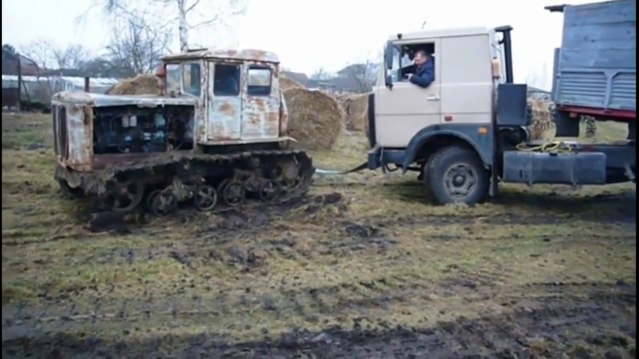 Хроника     