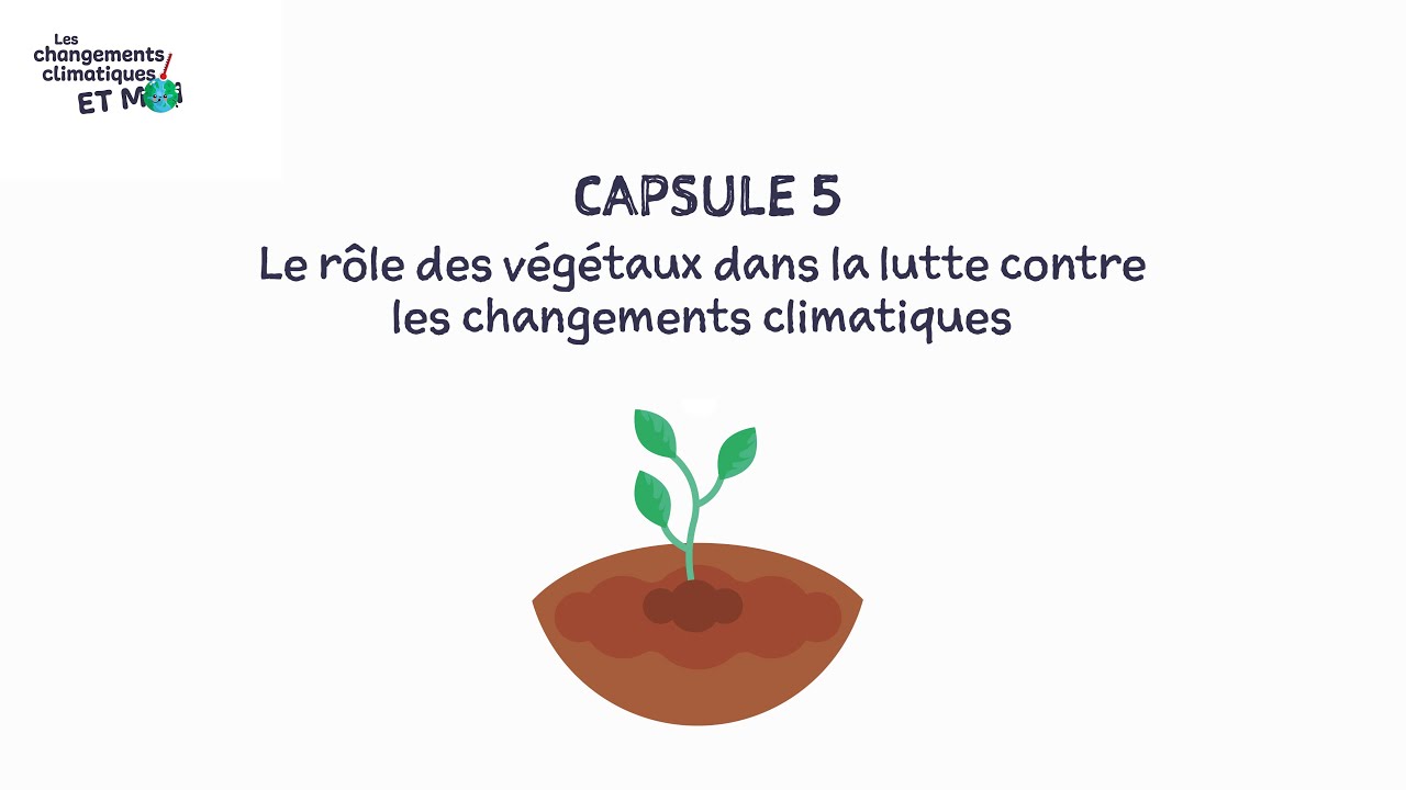 Capsule 5 : Le rôle des végétaux dans la lutte contre les changements climatiques