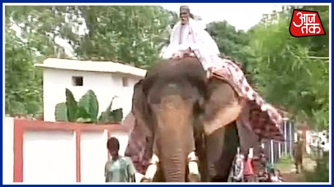Patna: JDU MLA rides an elephant to greet people, Creates Traffic Woes