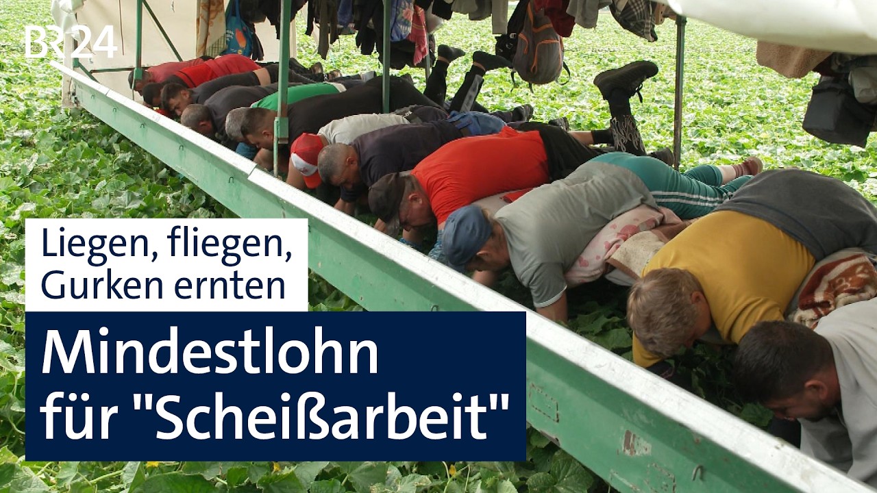 Mindestlohn für 