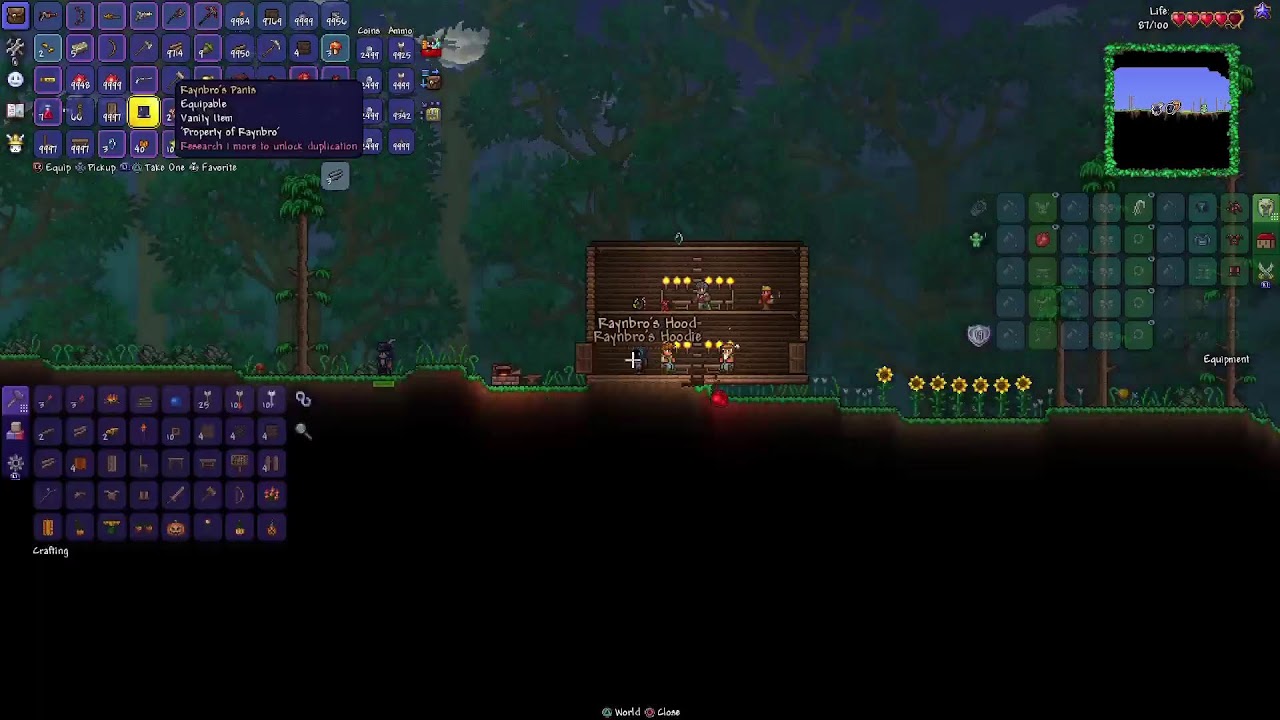 Terraria single player