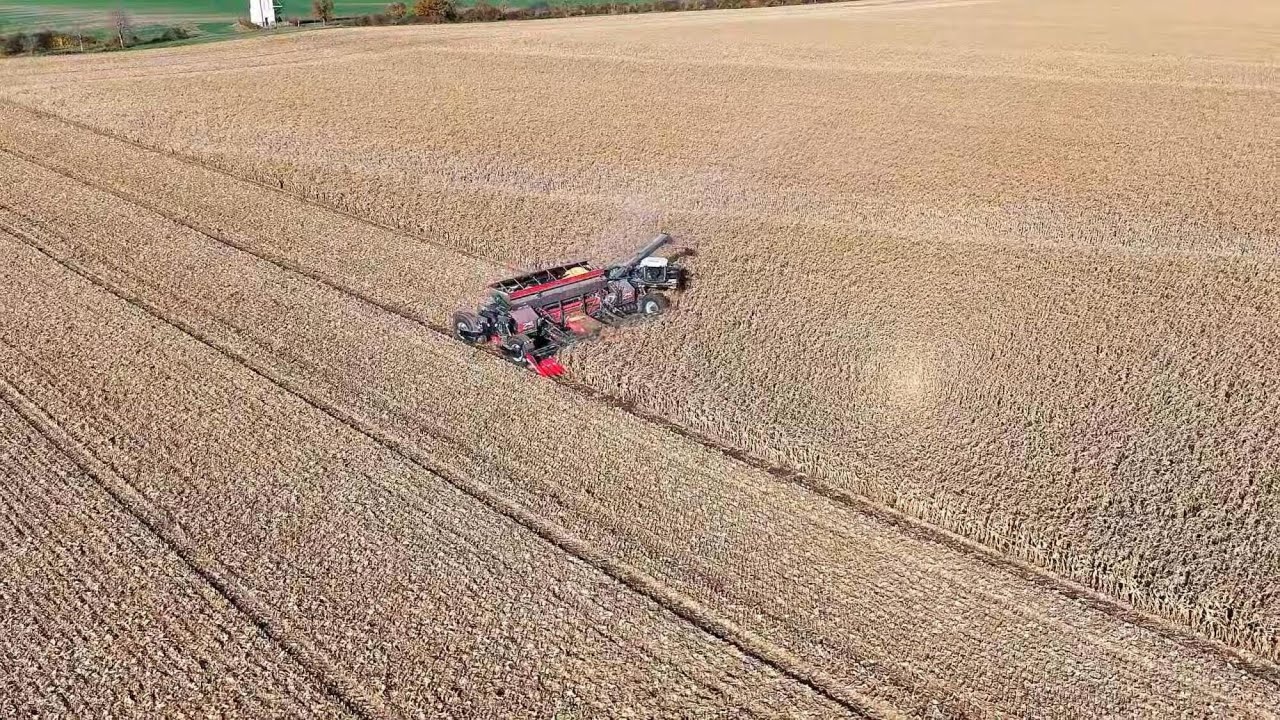 Massive Corn Harvest 2025 in Ohio 🇺🇸 | NEXAT System Tractor & 31-Row Corn Header in Action