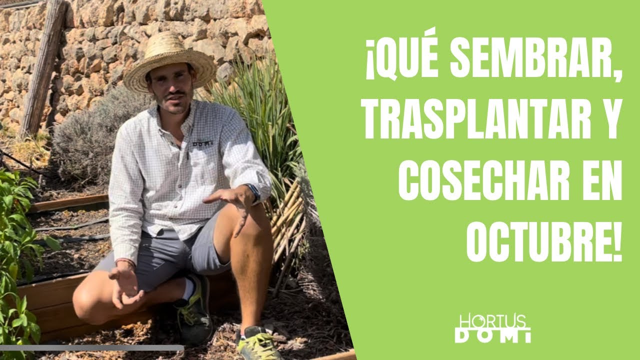 &iexcl;QUE CULTIVAR EN OCTUBRE!  Todo lo que puedes sembrar, trasplantar y cosechar en el mes de octubre