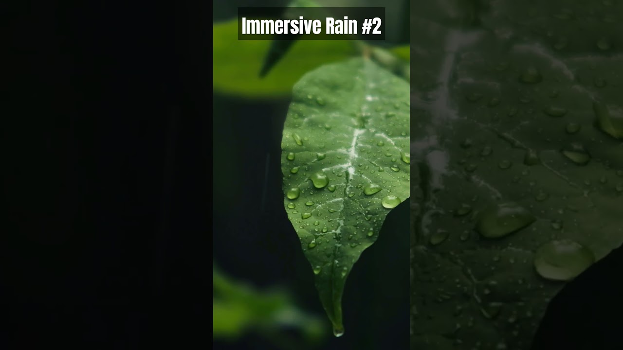 Window to the Storm: 4K Rain Ambiance with Calming Piano 🎹