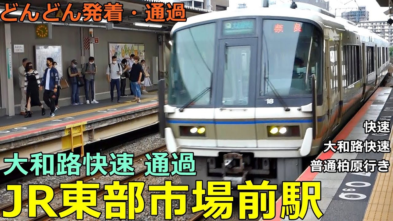 JR東部市場前駅🚃どんどん電車が発着・通過！●大和路線 大和路快速、快速、普通／柏原行き 等【JR西日本】