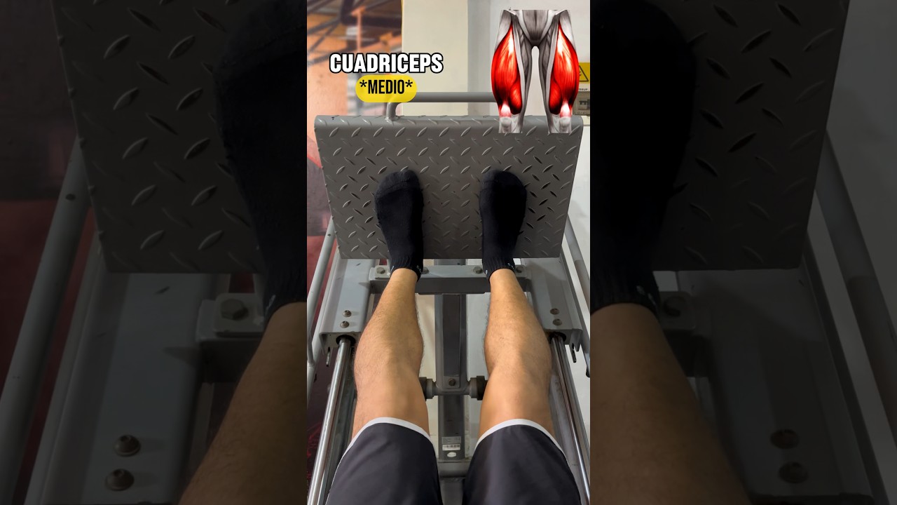 Variaciones en PRENSA | Guardalo y Compartelo 🔥 #gymworkout #legday #gymgirl #fitnessgirl #gluteos
