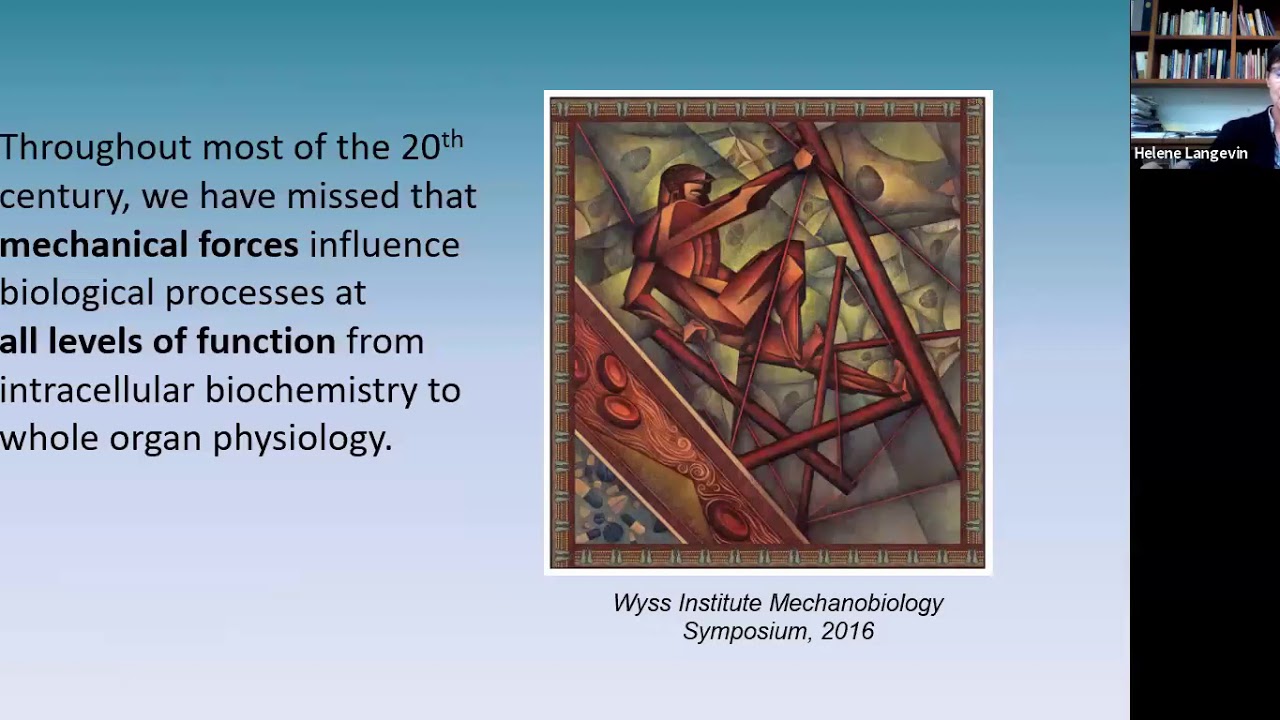 Health Professions Session: Connective Tissue, Stretching and Cancer