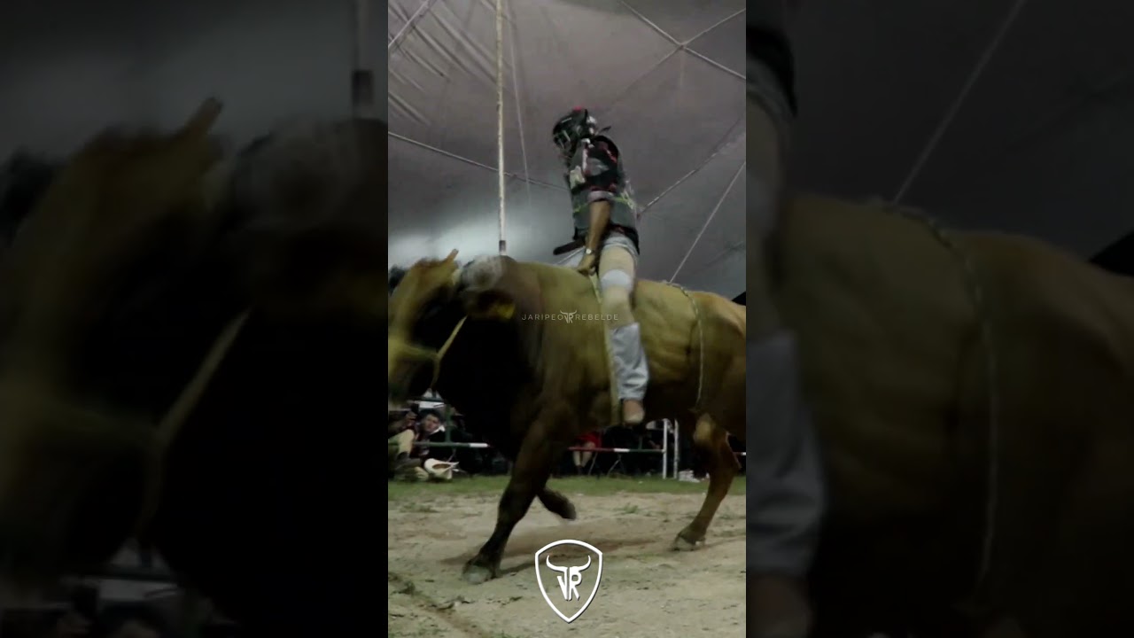 APESAR DE LA EDAD ES SIGUE SIENDO UN JINETAZO LATIGO DEL GRULLO!! #rancholacandelaria